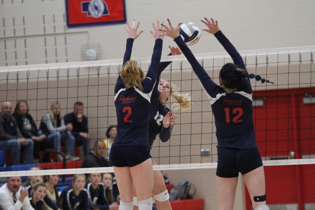 York vs. Platteview volleyball 2.jpeg